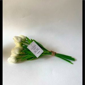 Kirkland White Tulips